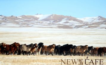 Хүйтний эрч ихэнх нутгаар чангарна