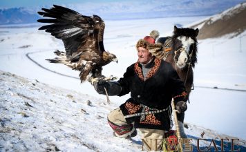 “Бүргэдийн баяр-2023” наадам “Чингис Хааны Хүрээ” аялал жуулчлалын цогцолборт болно