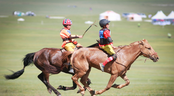 Хурдан морины уралдааны болон бөхийн барилдааны дүрэмд өөрчлөлт орууллаа