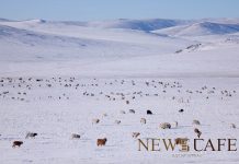 Нутгийн баруун хагаст өнөөдөр цас үргэлжлэн орж, ихэнх нутгаар хүйтний эрч чангарна