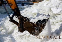 Нийслэлд гурван байршилд халиа үүсэж, ГУББГ-аас шаардлагатай арга хэмжээг авч байна