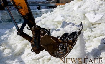 Нийслэлд гурван байршилд халиа үүсэж, ГУББГ-аас шаардлагатай арга хэмжээг авч байна