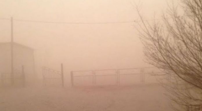 Ихэнх нутгаар энэ сарын 25-26-нд хүчтэй салхи, цас, шороогоор шуурна