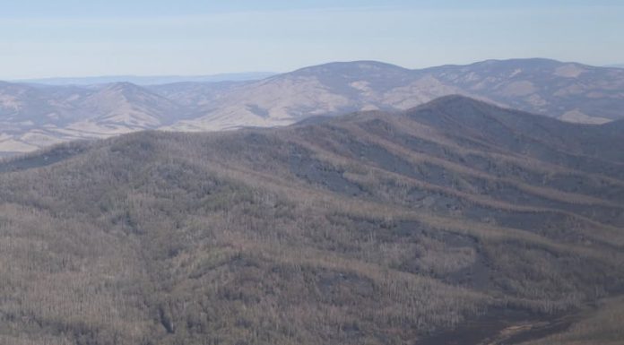 Ерөө суманд гарсан ойн түймрийг бүрэн унтраажээ