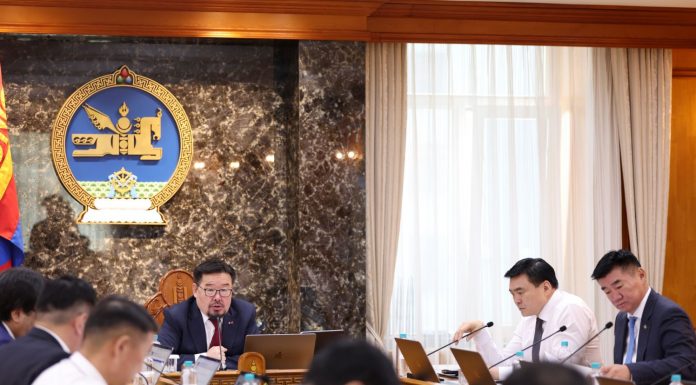 Засгийн газраас шуурхай авч хэрэгжүүлэх зарим арга хэмжээний тухай Монгол Улсын Ерөнхий сайдын Албан даалгавар гарлаа