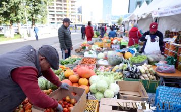Тариаланч, ногоочид үзэсгэлэнгийн хугацааг уртасгаж, импортын ногоог хязгаарлахыг хүслээ