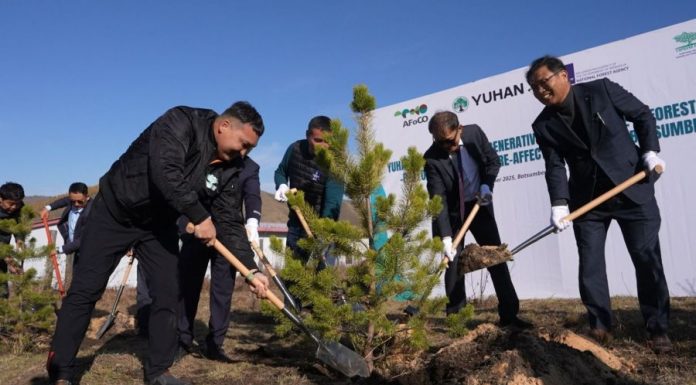 Тужийн нарсыг сэргээсэн БНСУ-ын “Юхан” корпорац “Тэрбум мод” үндэсний хөдөлгөөнд нэгдлээ