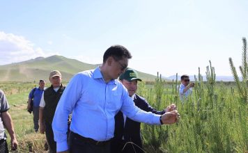 “Соёолж” ХХК тарьц, суулгацын 70 хувийг дангаар бүрдүүлж байна