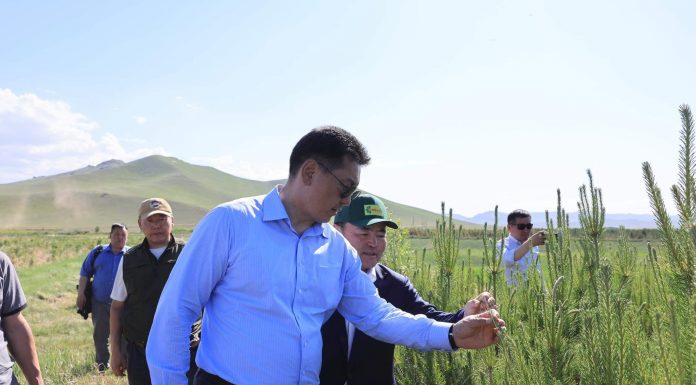 “Соёолж” ХХК тарьц, суулгацын 70 хувийг дангаар бүрдүүлж байна