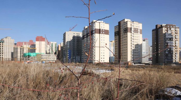 Ногоон нуурт хиймэл нуур бүхий цэцэрлэгт хүрээлэн байгуулна