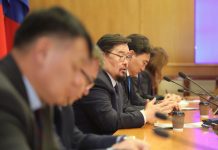 Баялгийн хулгайтай тэмцэх тусгай ажлын хэсэг байгууллаа