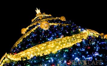 Төв талбайн сүлд модны гэрлийг асаалаа